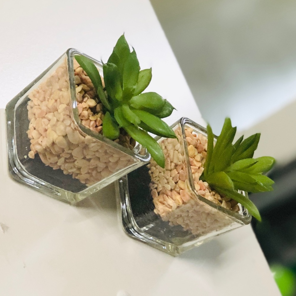 2 Peice Mini Faux Plant Decor
